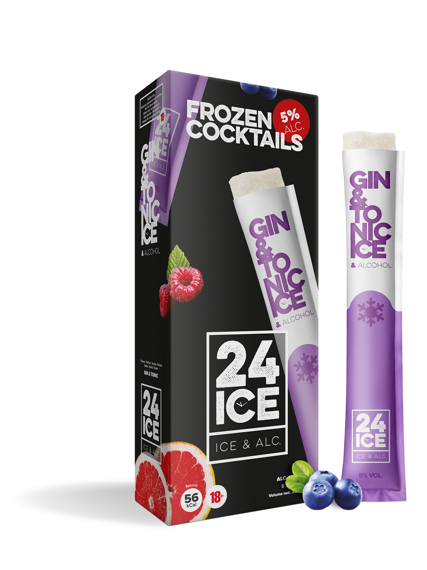 24 ICE Gin & Tonic 5x 0,065L (5% Vol.)
